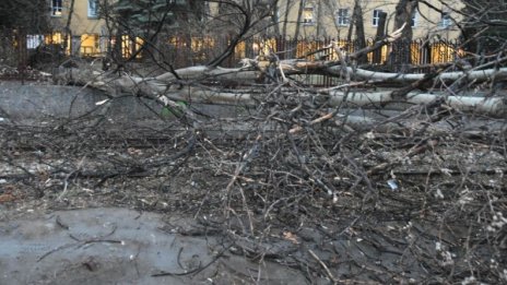 Внимание: Жълт код за вятър в 17 области в неделя