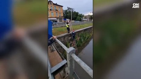 Пожарникари спасиха малко куче от бурята в София ВИДЕО