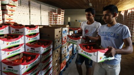 В Румъния ДДС за земеделските продукти става 5%