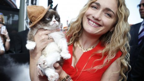 Почина начумерената котка Grumpy Cat