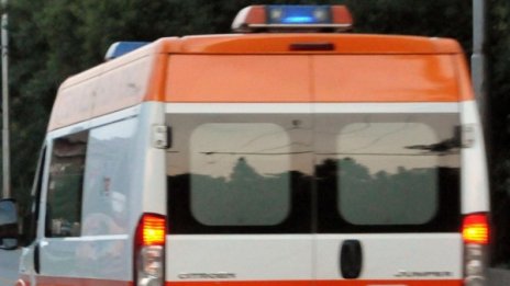 Мълния удари овчар в Симитлийско 