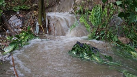 Дъждът нанесъл големи щети в резервата Старо Стефаново
