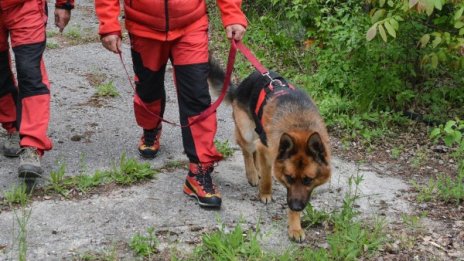 Жена се изгуби в планина край Драгоман 