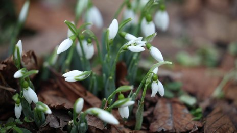 Температурите тръгват нагоре, валежи от дъжд започват утре
