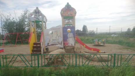 Арктически свине си играят на детска площадка в Русия 