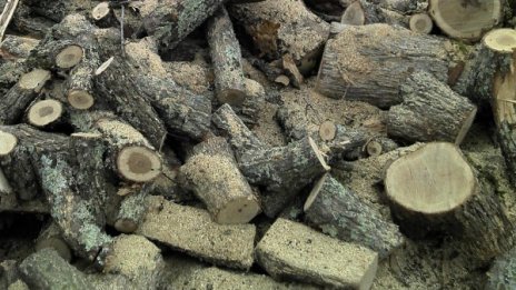 След преследване в ниви: Хванаха измамник в Пазарджишко