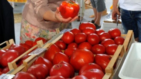 В разгара на лятото ядем скъпи домати. Защо?