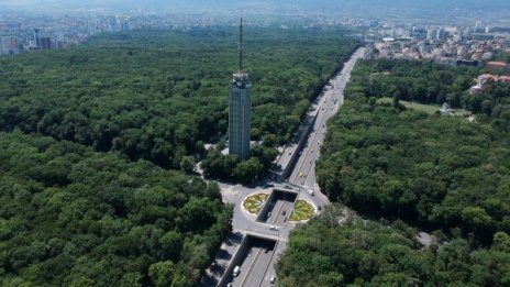 Денят в снимки - 7 август