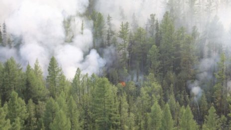 Пожарът в Сибир: Горят над 1,5 млн. хектара гори