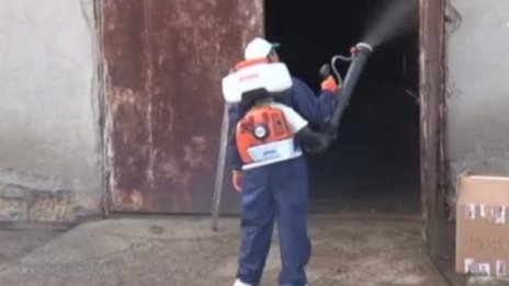 Отменят бедственото положение заради чумата в Свищов?