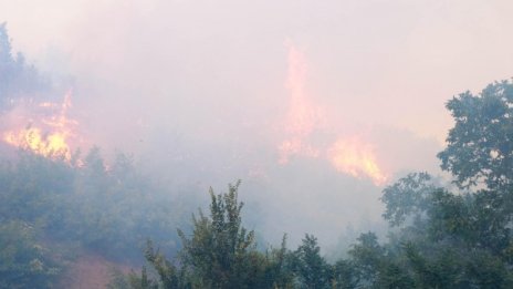 И сметището в Свищов се запали