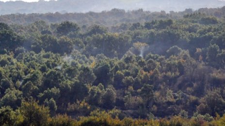 Голям пожар гори край софийското село Реброво
