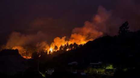 40 селища евакуирани заради пожари на Канарските острови