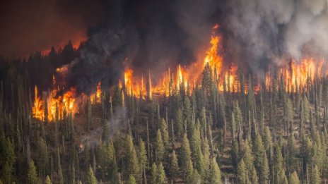 10 области в страната с голяма опасност от пожари