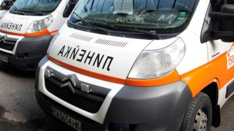 Възрастно семейство загина, блъснаха се челно в дърво  