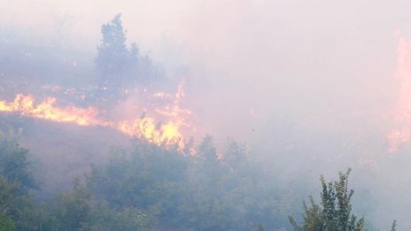 Овладяха пожара край Харманли, но има опасност от нов