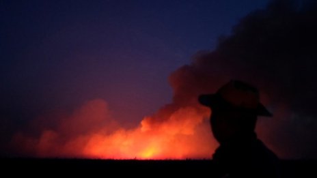 И Африка гори &ndash; втората по значение гора след Амазонка е в пламъци