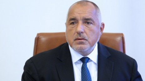 Борисов: Обезщетенията за избитите свине - по пазарни цени