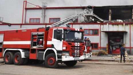 Пожар заплашва да изпепели борова гора в Хасковско