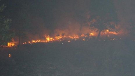 Пожар избухна край Пловдив 