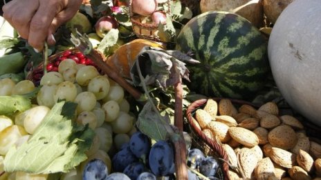 "Празник на плодородието" ще се проведе в Кюстендил 