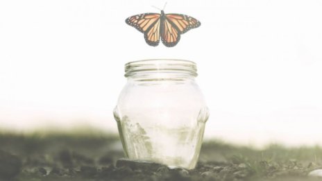 Петте споразумения на дон Мигел Руис за повече щастие 