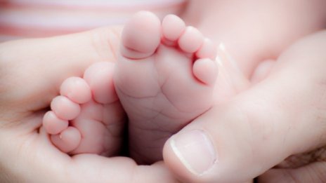 Почти 21 000 българи пазят стволови клетки от децата си