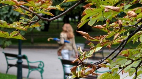 Слънце, слаб южен вятър и градусите тръгват нагоре