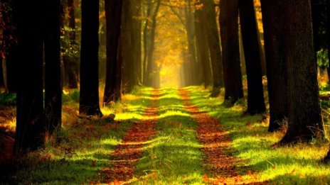 Времето днес: Слънчево, градусите стигат до 26