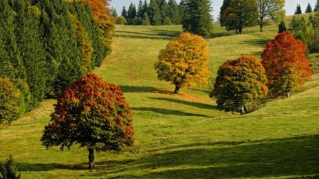 Есен в багри и слънце: Утре ще е топло, температурите до 27&deg;C