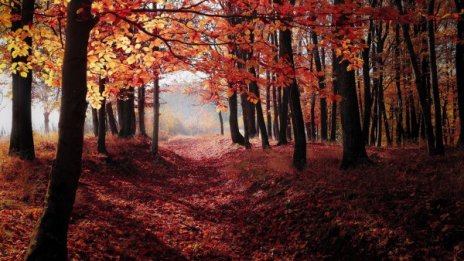 Щедро слънце в петък, градусите скачат до 25&deg;C