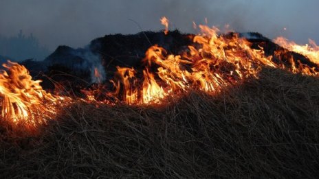 Горят над 1000 декара сухи треви край самоковско село 