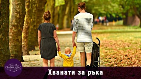 7 въпроса за стволовите клетки - как да направим информиран избор
