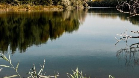 2 тона мъртва риба в река Струма. Проблем - няма...