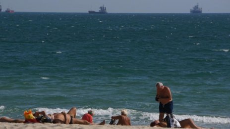 Изчерпват ли се рибните запаси в Черно море заради свръхулов?