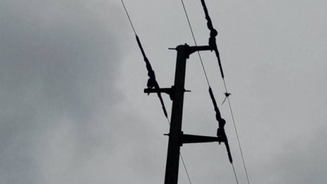 ЧЕЗ се погрижи за птиците, обезопасяването стълбове