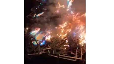 60-годишна жена обгази Перник. Извличала мед от платки...