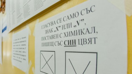Подхванаха вота в Трекляно: 10-годишен в избирателните списъци?