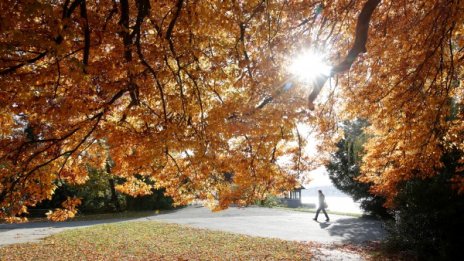 Евростат: Българите стават по-щастливи, но не и от финансите си
