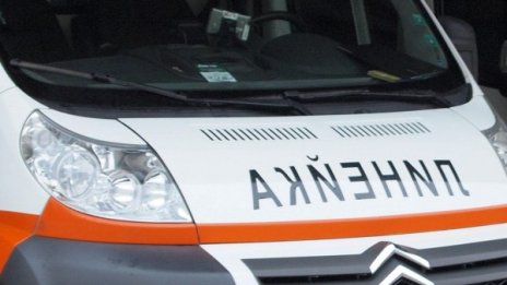 Седем пострадали при катастрофа между микробус и кон 