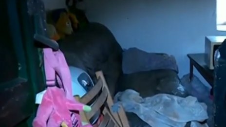 Заради мизерията семейство на косъм да загуби децата си