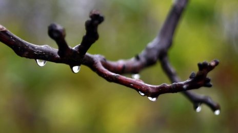 Захладнява: Около обяд и ще вали