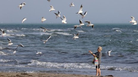 Най-замърсените води: Може ли Черно море да бъде спасено? 