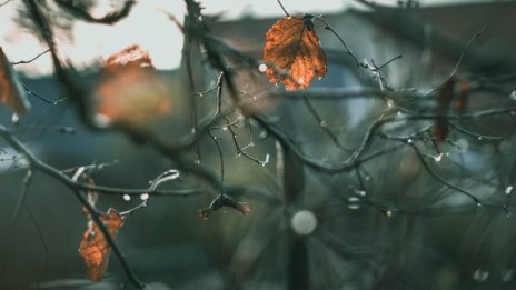 Времето днес: Облачно и дъждовно