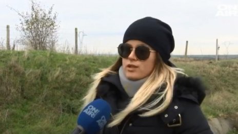 Шофьорка: Глобиха ме след катастрофа с диво прасе на "Тракия"