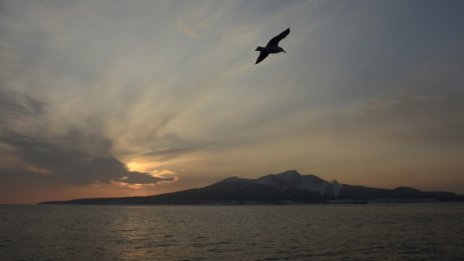 Трус от 5,6 по Рихтер край бреговете на Курилските острови