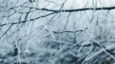 Времето днес: Повече слънчеви часове, градусите - до 12