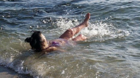 Предколеден плаж, варненци се къпят в морето 