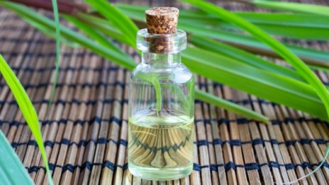 Лимонова трева - при стрес и артритни болки