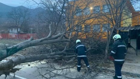 Силният вятър нанесе щети във Враца, отнесе тухли, ламарина 